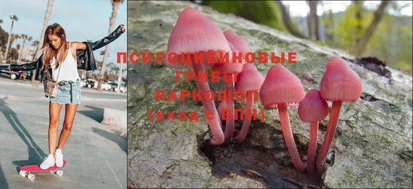 ECSTASY Балабаново
