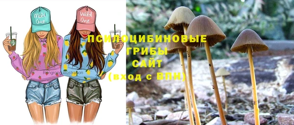 гашик Баксан